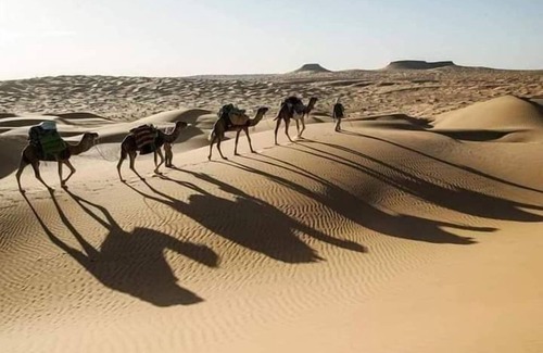 Douz Alquiler De RV | Douz Trek