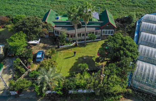 Aewol Casa | Dove house