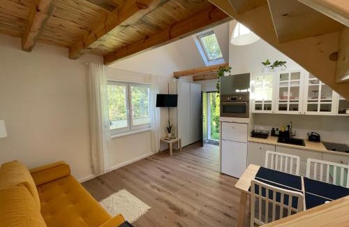 Wiele Apartamento | Dowiośnie - domek w Wielu