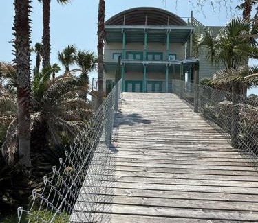 Theodore Casa | Down on the BAY