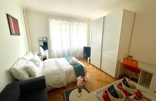 Lausanne Apartamento | Down Town Studio