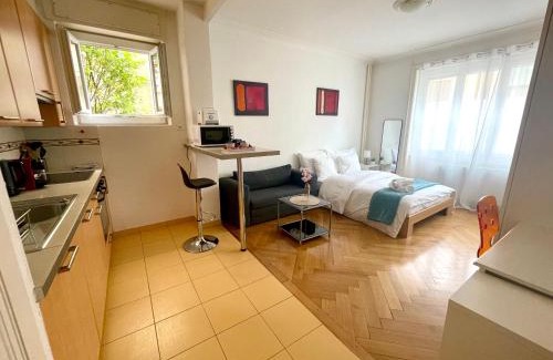 Lausanne Apartamento | Down Town Studio