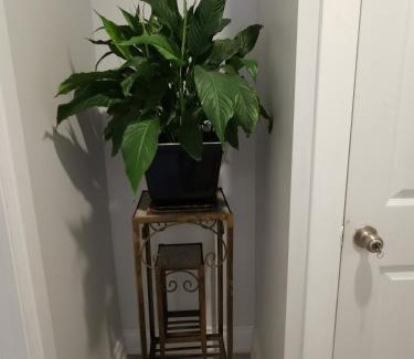 Ottawa Division Apartamento | Downtown Apartment