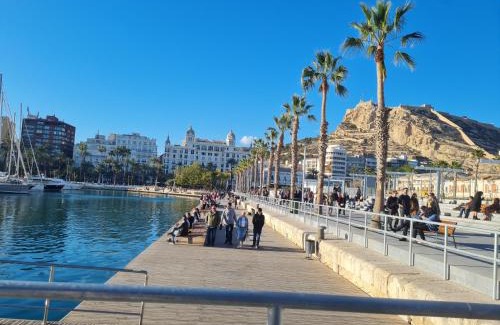Campoamor Apartamento | Downtown Apartments
