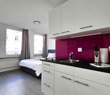 Sihlfeld Apartamento | Downtown Deluxe Studio with Queen Bed BE-25