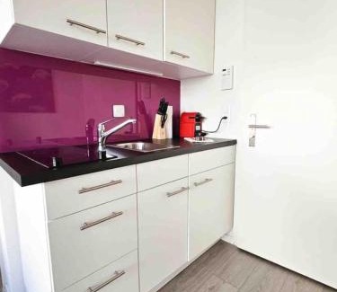 Sihlfeld Apartamento | Downtown Deluxe Studio with Queen Bed BE-25
