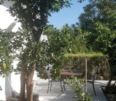 Loviste Apartamento | DOWNTOWN GARDEN
