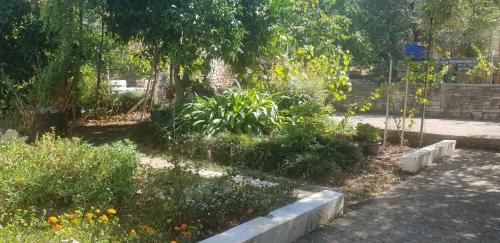 Loviste Apartamento | DOWNTOWN GARDEN