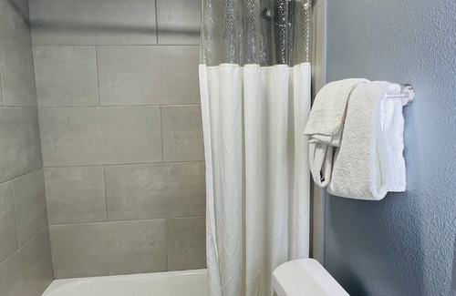 Temple Apartamento | Downtown Historic 1 Bed 1 Bath Apartment Unit 202