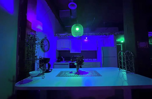 Detroit Apartamento | Downtown: Industrial Brick Chill Loft