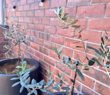 Narrabri Apartamento | Downtown Narrabri Apartment