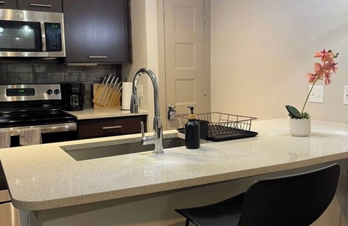 Chestnut Apartamento | Downtown Retreat with Resort Perks- Pool, Wifi, Pets Allowed