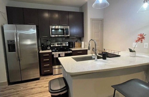 Chestnut Apartamento | Downtown Retreat with Resort Perks- Pool, Wifi, Pets Allowed