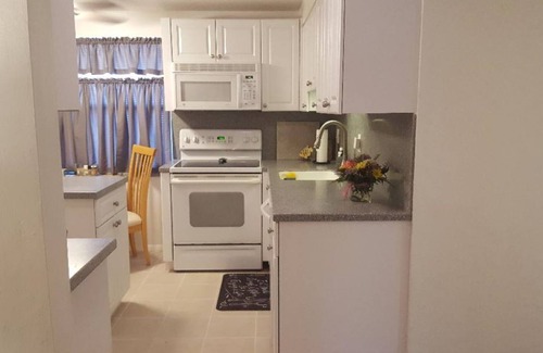 Safety Harbor Casa | Downtown Safety Harbor 2 Bed 1 Bath Pool Home, 20 minutes from Clearwater beach