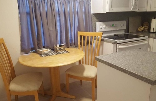 Safety Harbor Casa | Downtown Safety Harbor 2 Bed 1 Bath Pool Home, 20 minutes from Clearwater beach