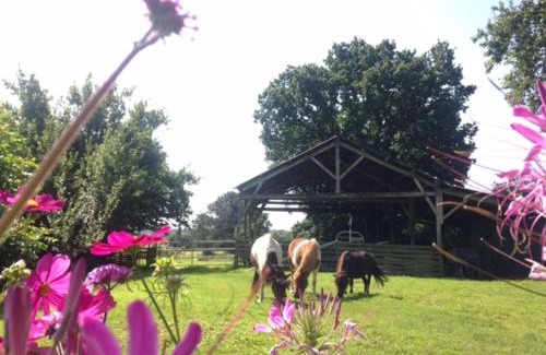 Plesse Casa | Dpt44 Gite à la ferme accueil PMR