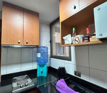 Lastarria Apartamento | Dpto acogedor en Lastarria