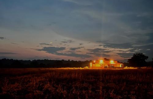 Pandharkawada Cabina | Dr Bones jungle home Tipeshwar wildlife sanctuary