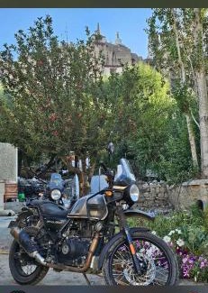 Tingmosgang Casa | Dragon guesthouse and garden restaurant
