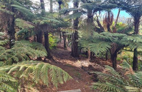 Kerikeri Casa | Dragonfly Barn - Kerikeri