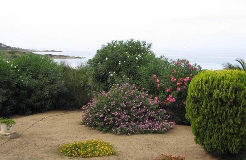 Corbara Apartamento | Unas vacaciones de ensueño en una de las más bellas sitio de la balagne