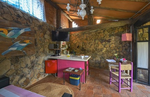 Pequea Apartamento | Dream . Home office in Ilhabela with my dog.