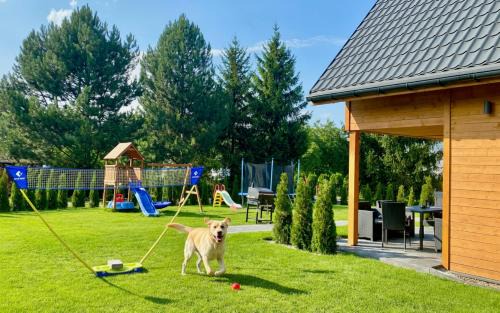 Polanica-Zdroj Casa | Dream Home Pet-Friendly - Ogród 600m2, Las 10min