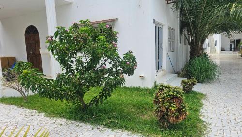 Serrekunda Hotel | Dream Inn Residence