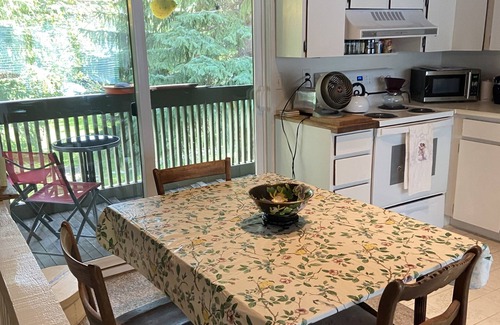 Ketchum Condominio | Dream location across from the bike path, 2 min to lift, 3 min to downtown