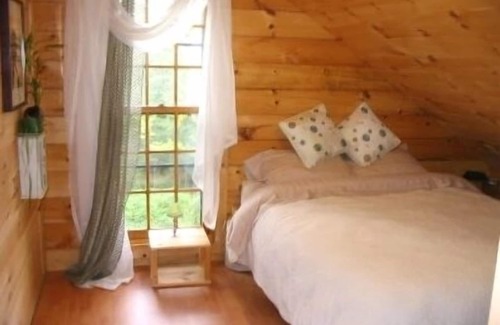 Morrisville Cabina | Dream Log Cabin, pero cerca de todo! Perros Bienvenidos !!!