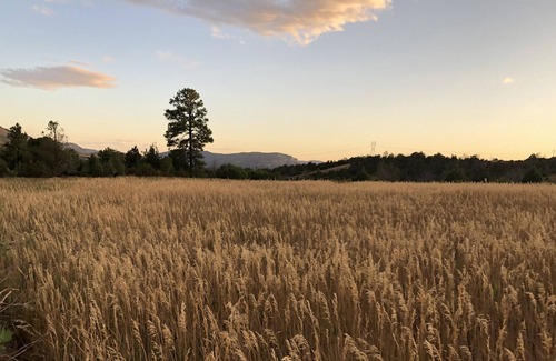 Mancos Casa | Dream Mountain Home Getaway on 40 Acres with Private Hiking Trails