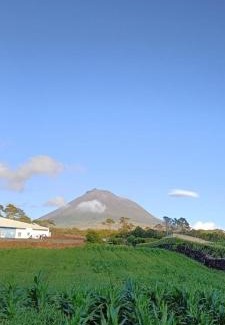 Madalena Casa | Dream View in Pico