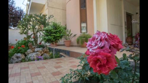 Nea Alikarnassos Apartamento | Dreamy Airport's Apartment