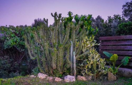Paliki Casa | Dreamy Wooden Cottage Lixouri