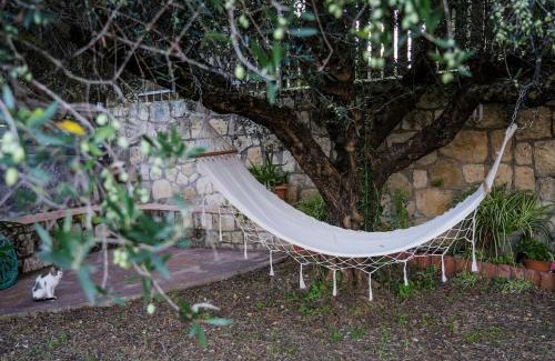 Paliki Casa | Dreamy Wooden Cottage Lixouri