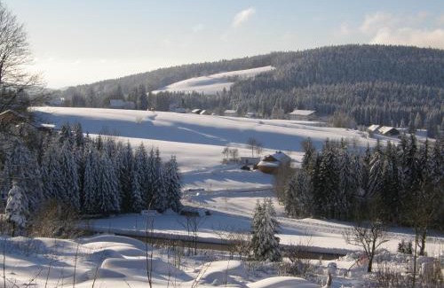 Haidmuhle Chalet De Esquí | Dreisessel-Chalets im bayerischen Wald - Chalet Plöckenstein - mit Whirlpool-Sauna-Kamin