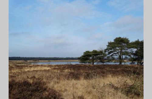 Municipality of Midden-Drenthe Casa | Drentse bungalow in natuur en rust
