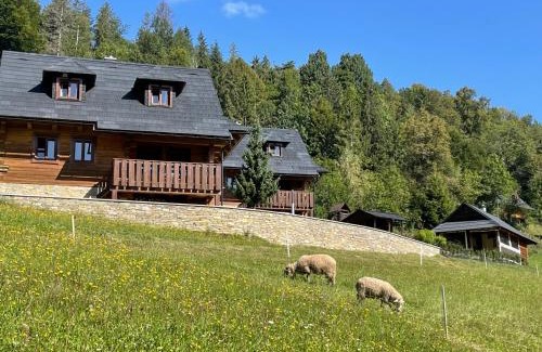 Terchova Chalet De Esquí | Drevenica Čakanka a Nezábudka