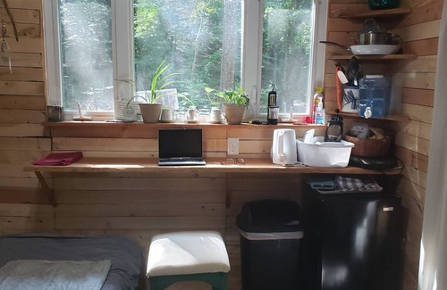 Ozone Cabina | Driftwood Treehouse Cabin w/Fireplace & Privacy