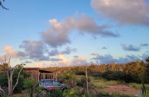 Standard Ville Apartamento | Driftwoodlodge