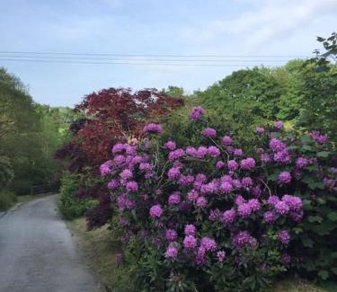 Tavistock Casa | Drovers Cottage
