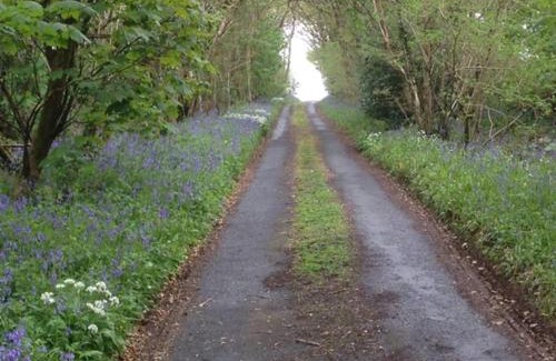 Tavistock Casa | Drovers Cottage