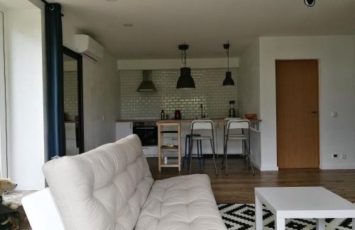 Druskininkai Apartamento | Dru-Sky