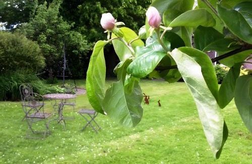 Neukirchen/Erzgeb Apartamento | Druidenhain Hof Neudamm