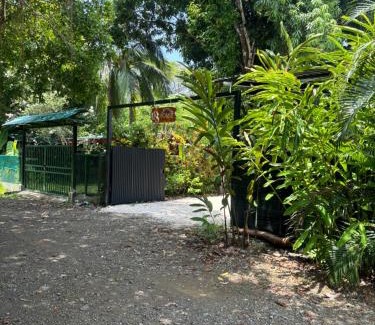 Cabuya Otro | DS House
