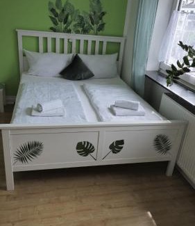 Wehlheiden Apartamento | Dschungel-Apartment Steubenstr 13