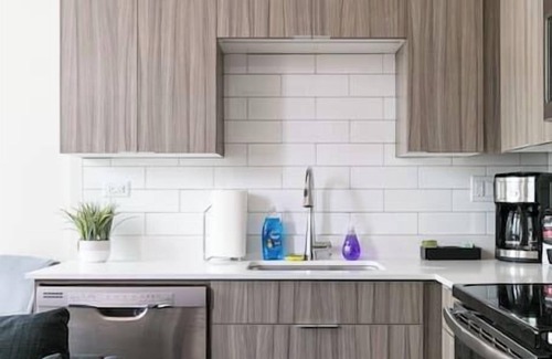 South Loop Apartamento | DTown Mich Ave #10 | gym+rooftop w park view