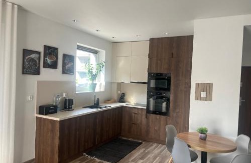 Ostrow Wielkopolski Apartamento | Duży Apartament 3 pokoje Park City