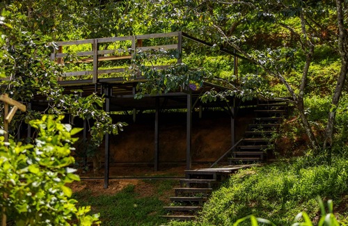 Don Duong Cabina | Du An Garden Retreat Forest