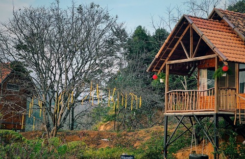 Don Duong Cabina | Du An Garden Retreat Forest